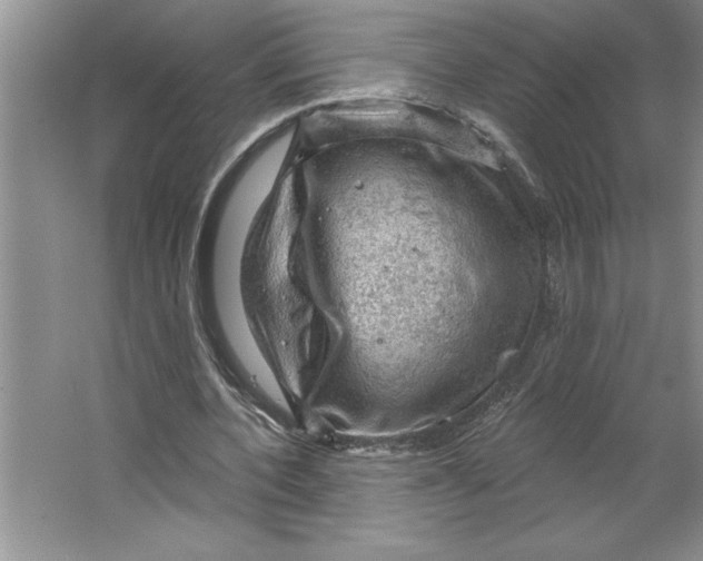 X0000064740532200603031710