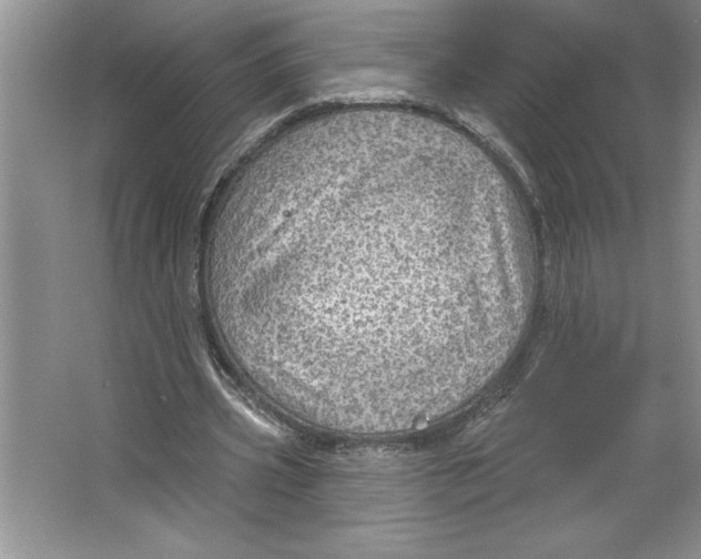 X0000064740533200603031710