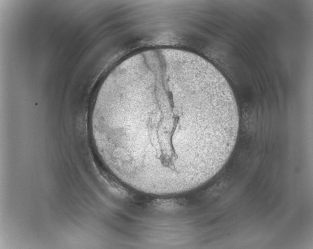 X0000064740534200603031710