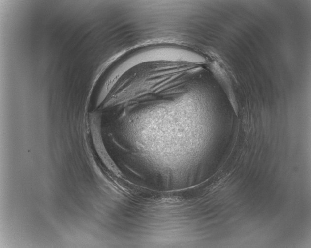 X0000064740536200603031710