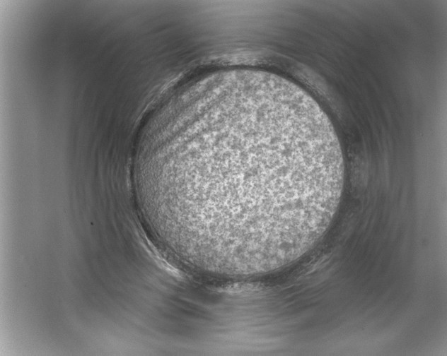 X0000064740537200603031710