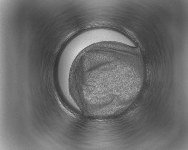 X0000064740538200603031710