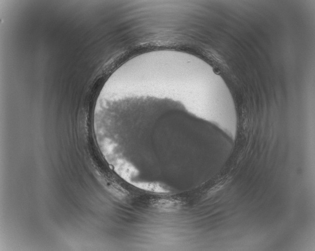 X0000064740542200603031710