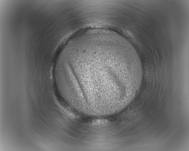 X0000064740543200603031710