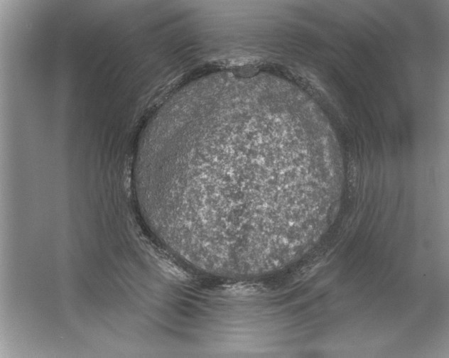 X0000064740545200603031710