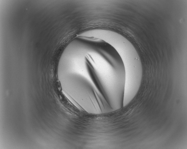 X0000064740546200603031710