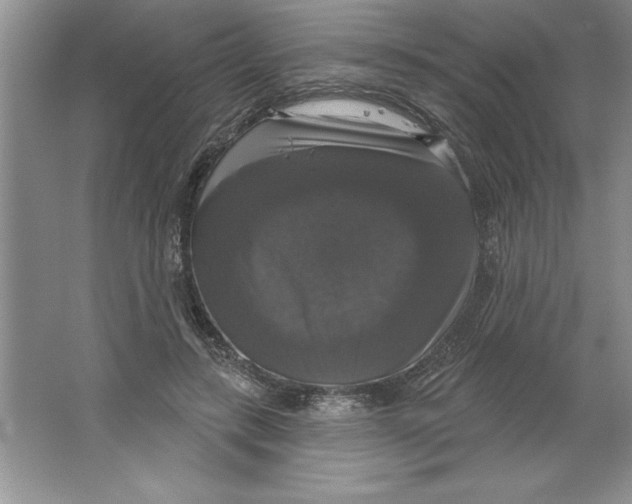 X0000064740547200603031710