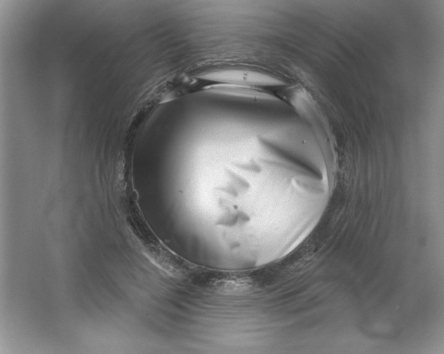 X0000064740548200603031710