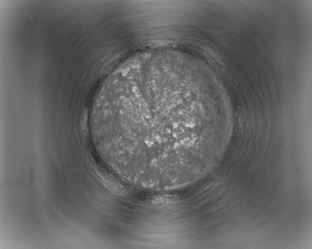 X0000064740550200603031710