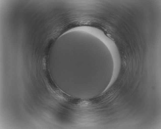 X0000064740551200603031710