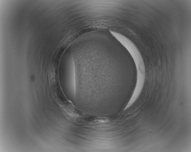 X0000064740552200603031710