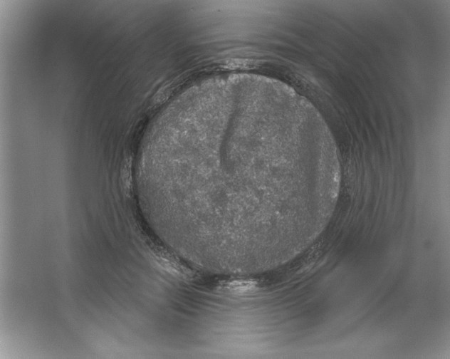 X0000064740554200603031710