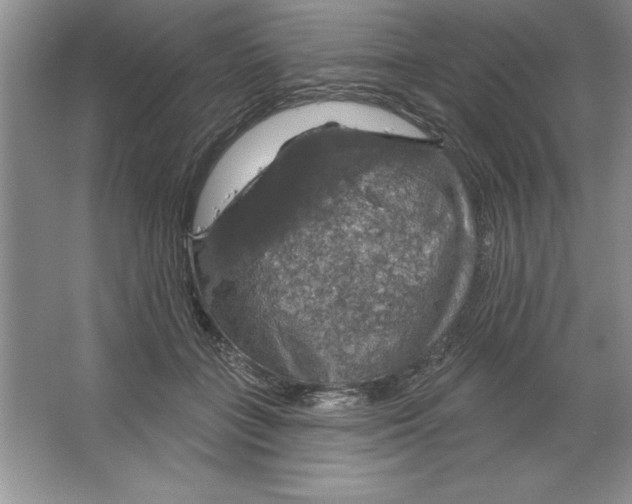 X0000064740555200603031710