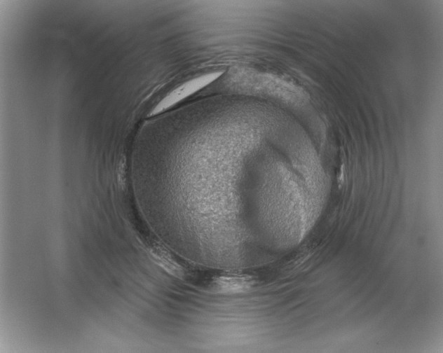 X0000064740556200603031710