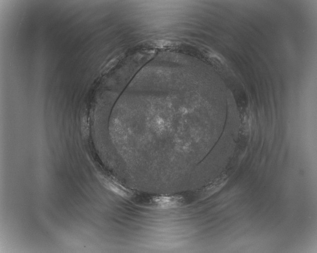 X0000064740558200603031710