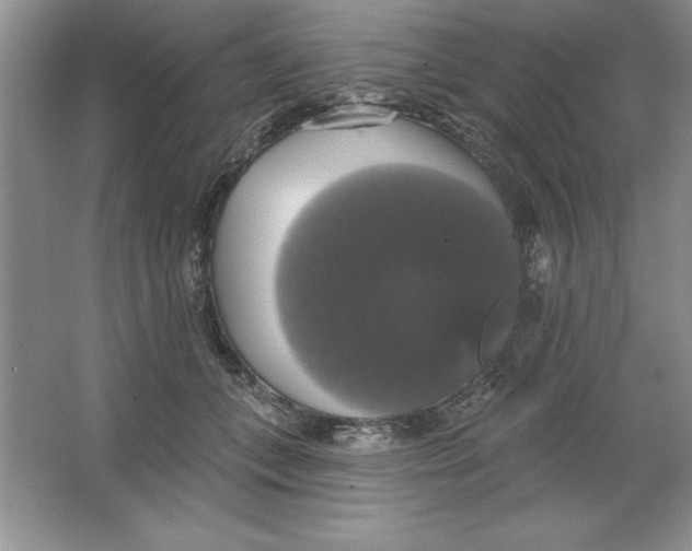 X0000064740559200603031710