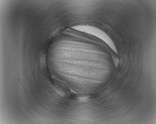 X0000064740560200603031710