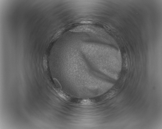 X0000064740562200603031710