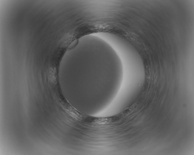 X0000064740563200603031710