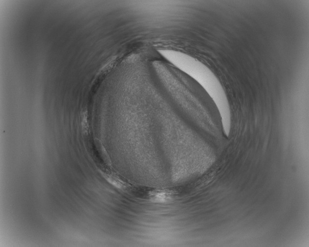 X0000064740564200603031710