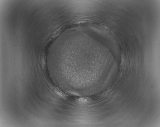 X0000064740566200603031710