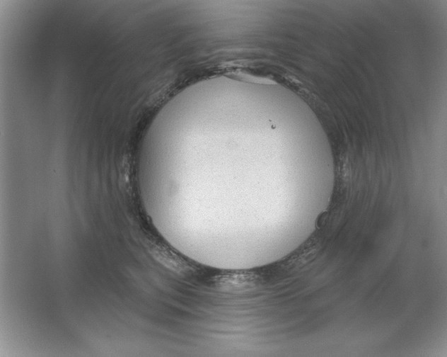 X0000064740567200603031710