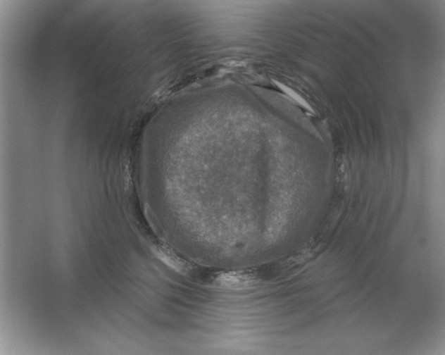 X0000064740568200603031710