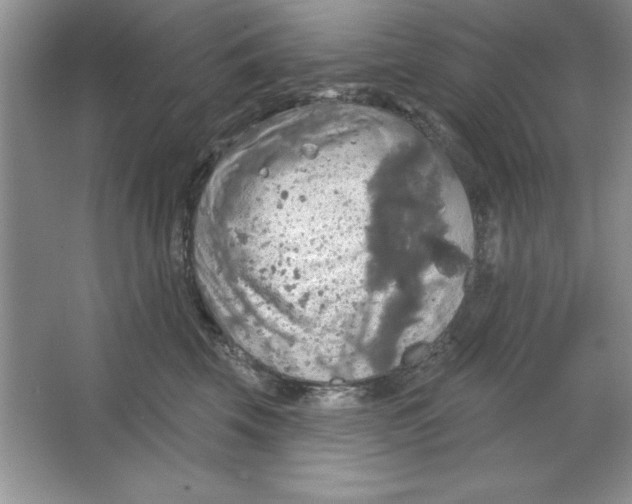 X0000064740569200603031710