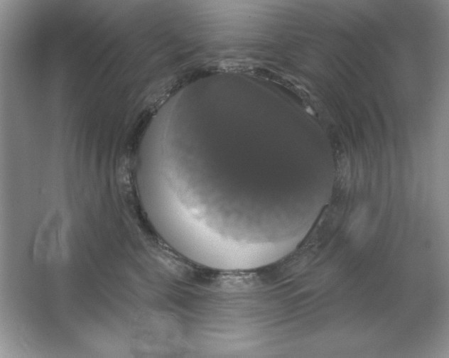 X0000064740571200603031710