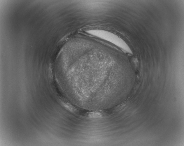 X0000064740572200603031710