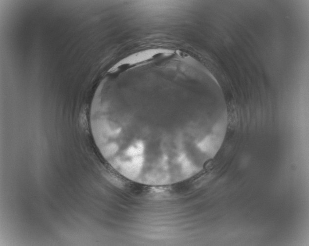 X0000064740573200603031710