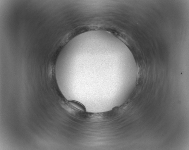 X0000064740574200603031710