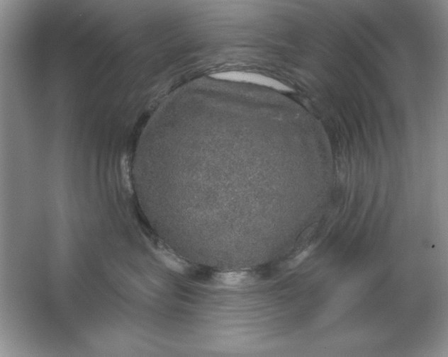 X0000064740575200603031710