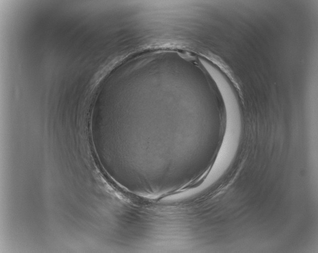 X0000064740577200603031710