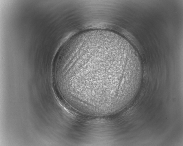 X0000064740578200603031710