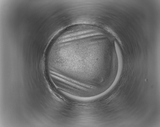 X0000064740580200603031710