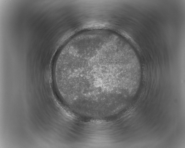 X0000064740582200603031710