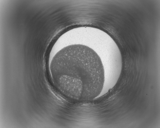 X0000064740584200603031710