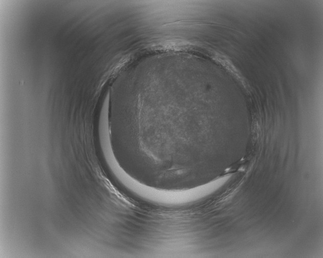 X0000064740585200603031710