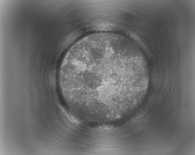 X0000064740586200603031710