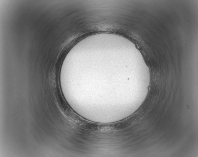 X0000064740587200603031710