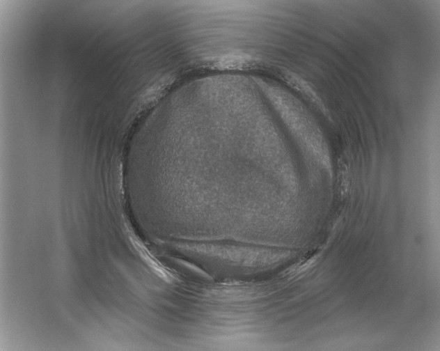 X0000064740589200603031709