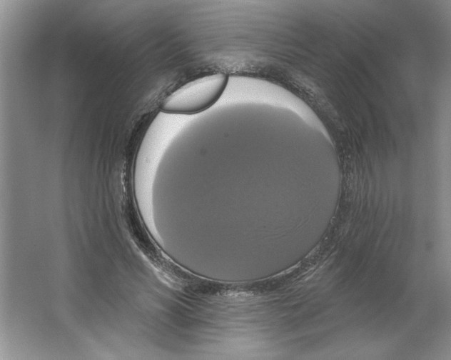 X0000064740590200603031709