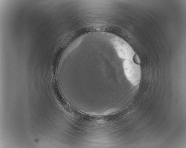 X0000064740594200603031709