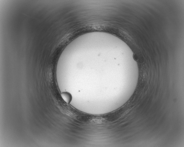 X0000064740595200603031709