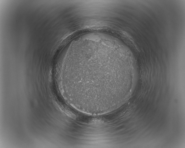 X0000064740596200603031709