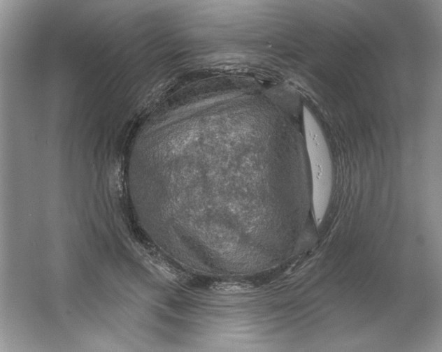 X0000064740597200603031709