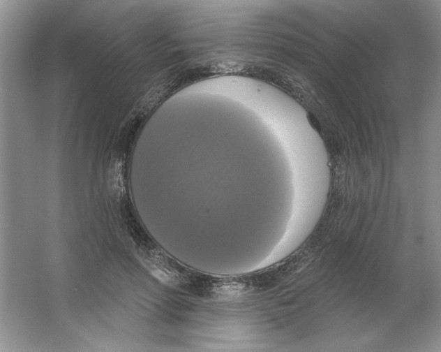 X0000064740598200603031709