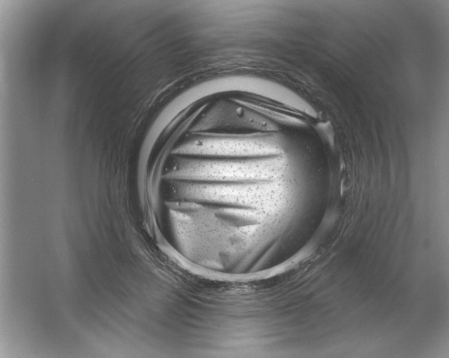 X0000064740600200603031709