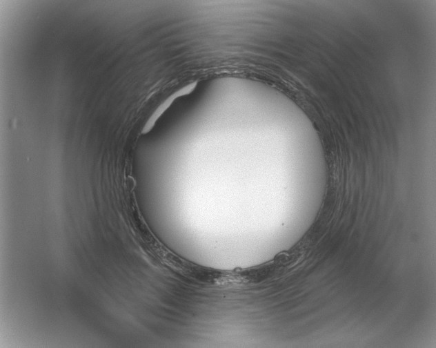 X0000064740603200603031709